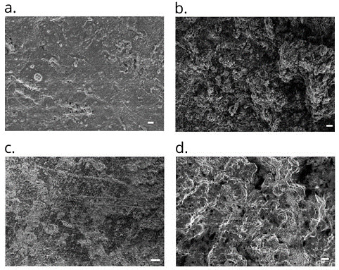 pcb dendrite