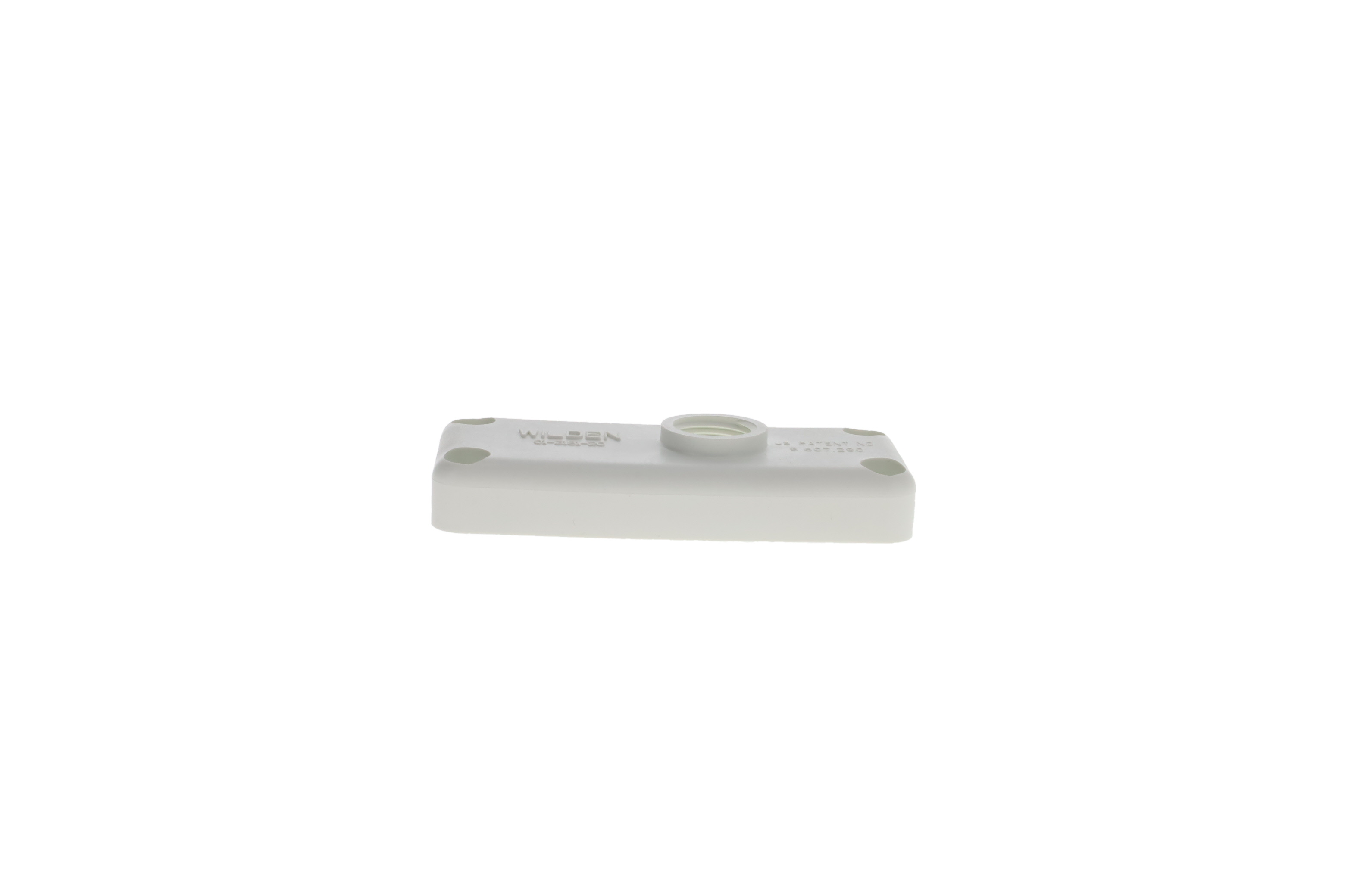 WILDEN 01-3181-20