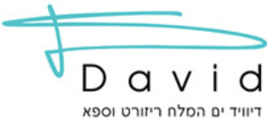 רשת מלונות David