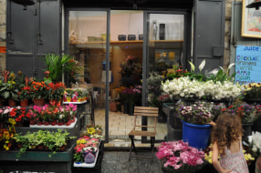 HaRakefet Flowers HaRakefet Flowers