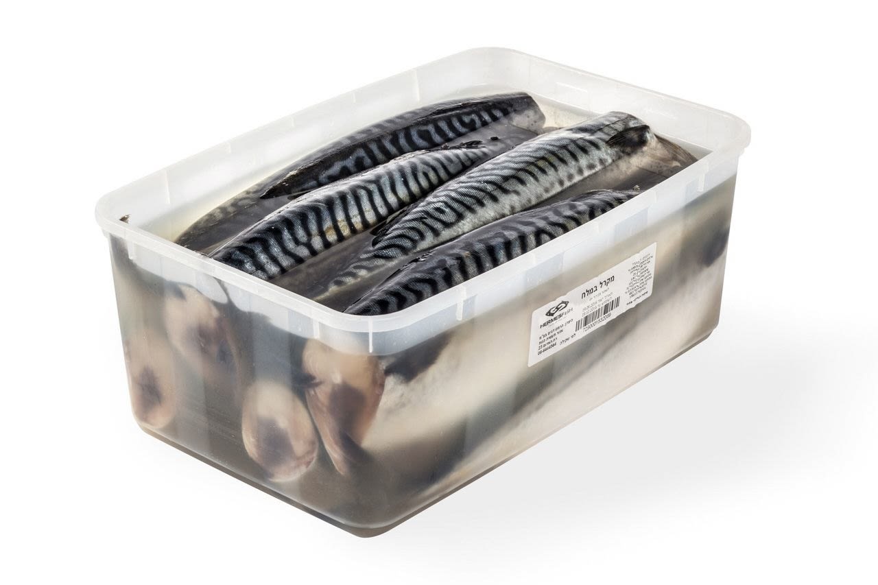 מקרל במלח 3 ק"ג
 מק״ט: 15