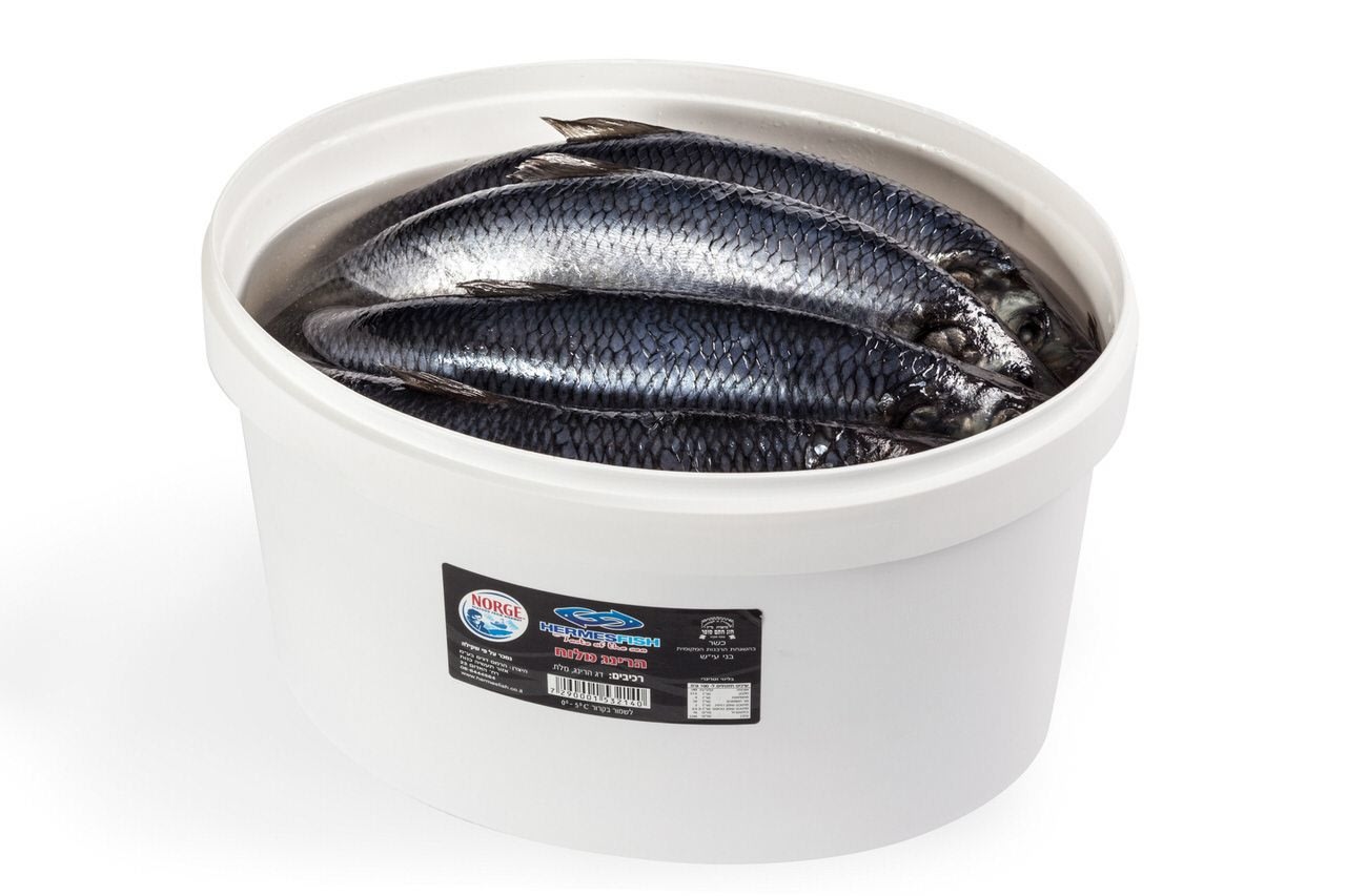 דג מלוח גדול, 5 ק&rsquo;&rsquo;ג
מק״ט: 5