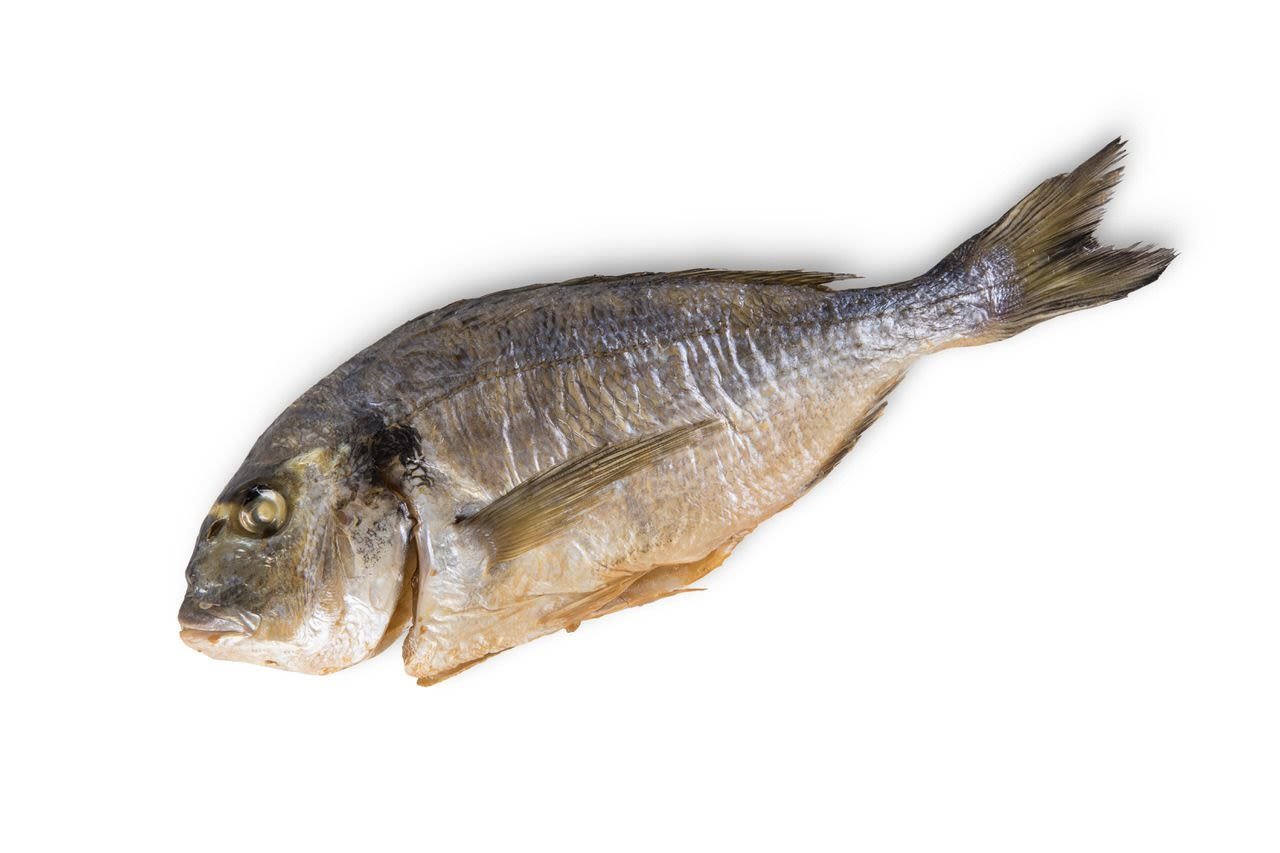 דניס מעושן חם
  מק״ט: 194