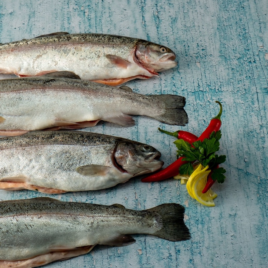 פורל טרי ישראלי 