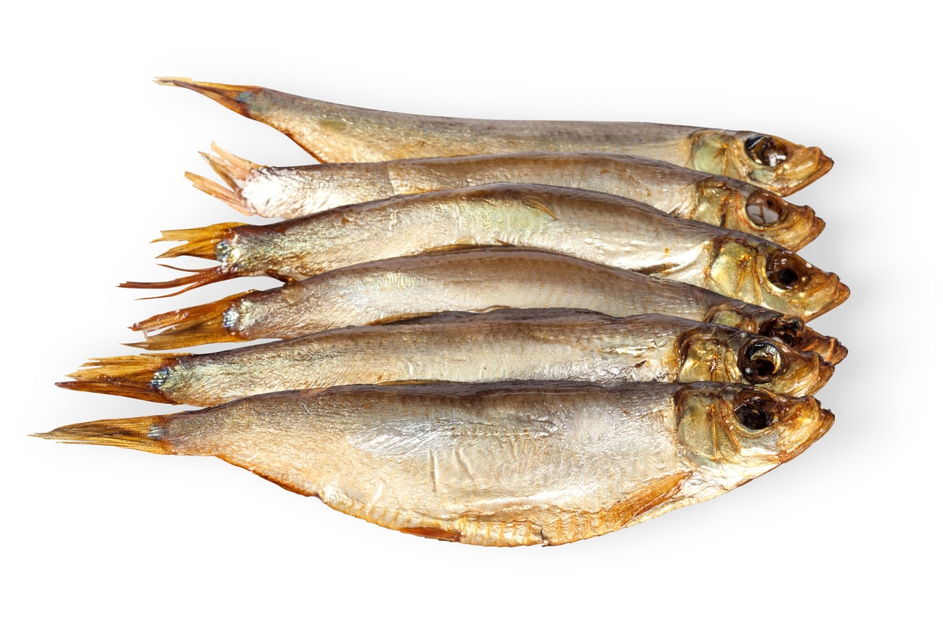 שפרוטי מעושן חם - לפי שקילה - ברקוד 1532096