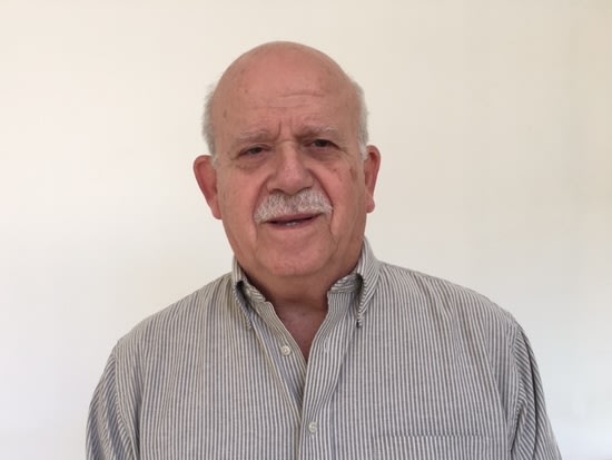 אריה פרידלר