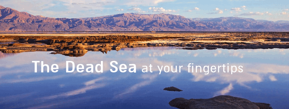 The Dead Sea