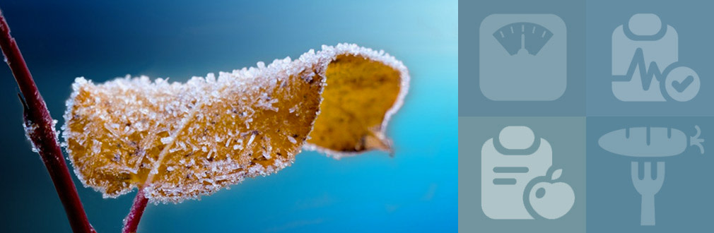 obesity-winter obesity-winter