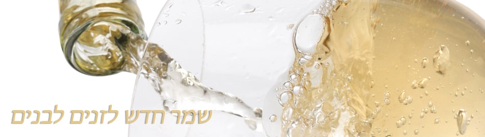 מחקר-ופיתוח-sensy מחקר-ופיתוח-sensy