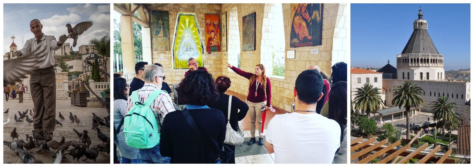המלצות המלצות