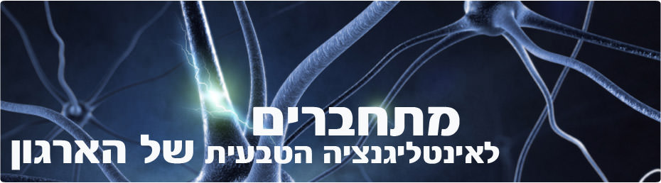 חשיבה-מערכתית