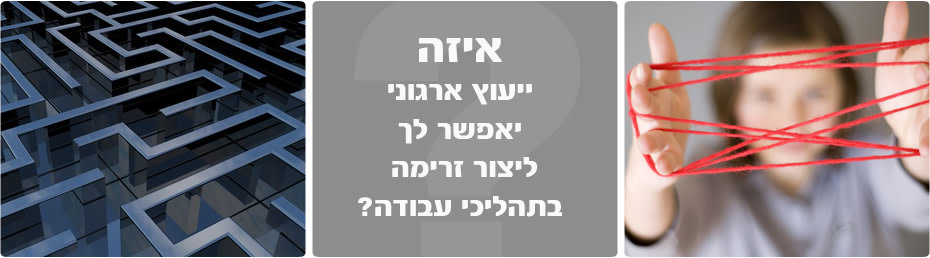 הערכת-עובדים