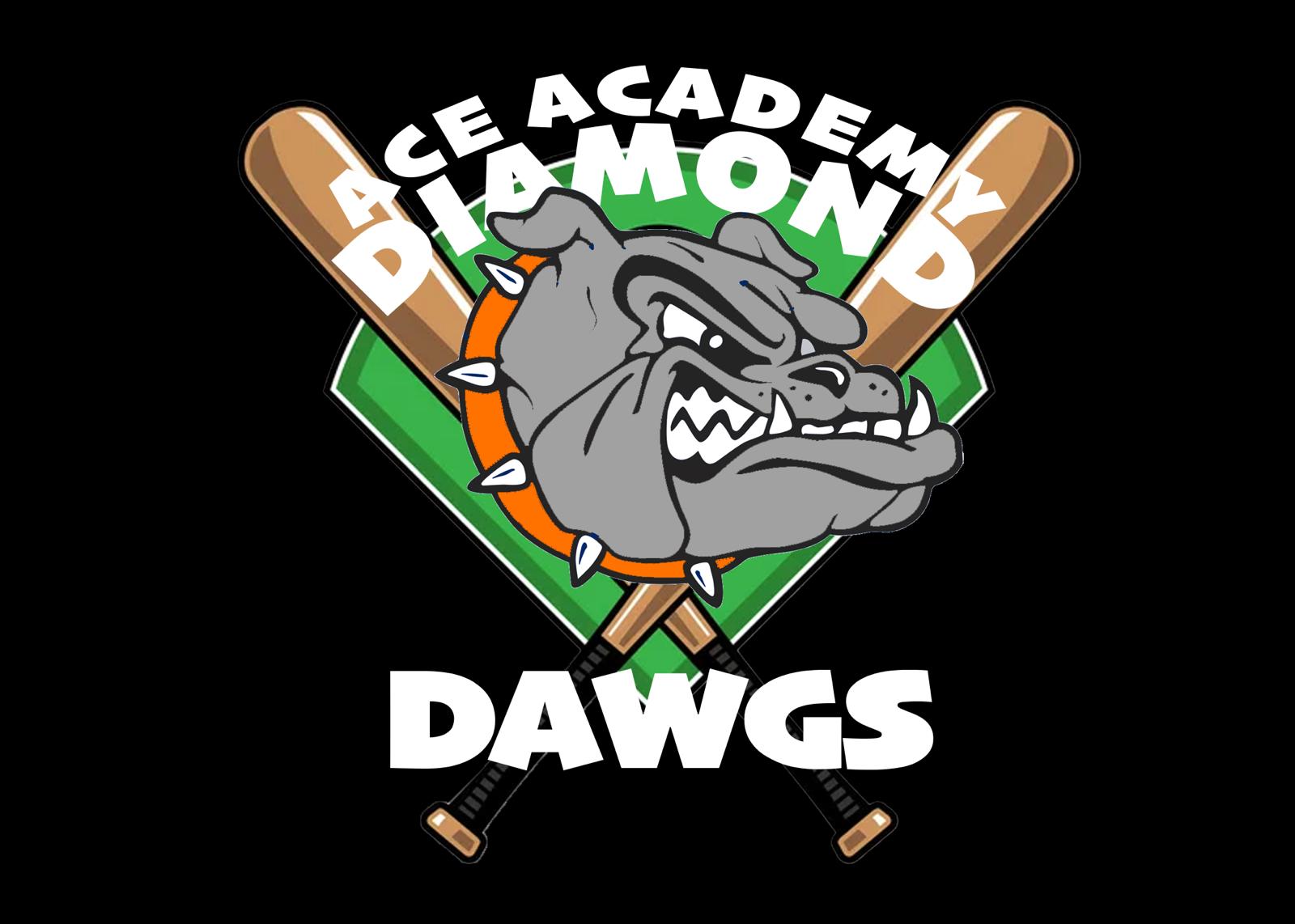 ACE ACADEMY DIAMOND DAWGS