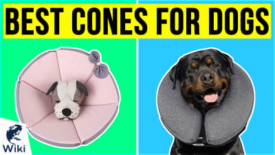 Best Cones For Dogs