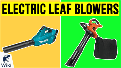 Best Electric Leaf Blowers