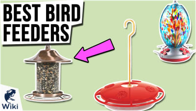 Best Bird Feeders