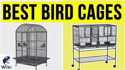 Best Bird Cages