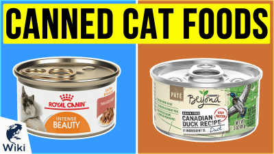 Best Canned Cat Foods