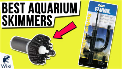 Best Aquarium Skimmers