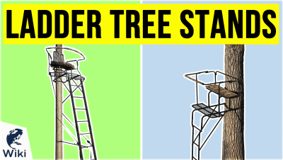 Best Ladder Tree Stands