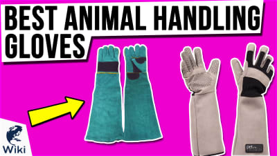 Best Animal Handling Gloves