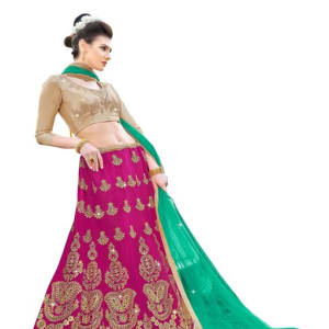 Siya Stunning Net Embroidered Women's Lehengas (2)