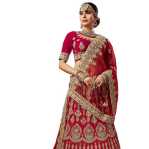 Stunning Designer Women's Lehenga (1)