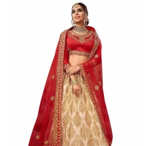 Designer Women's Lehenga (2)