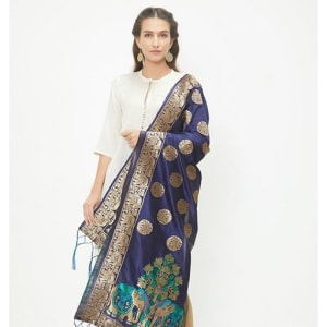 Stylish Banarasi Silk Women's Dupattas Vol 1 (6)
