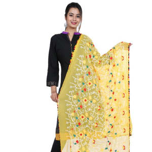 Women's Designer Chiffon Dupattas Vol 1 (3)