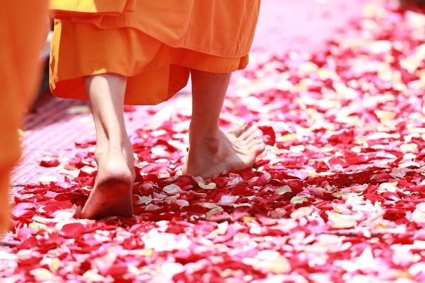 WHAT IS YOGA ? WHAT IS YOGA ?