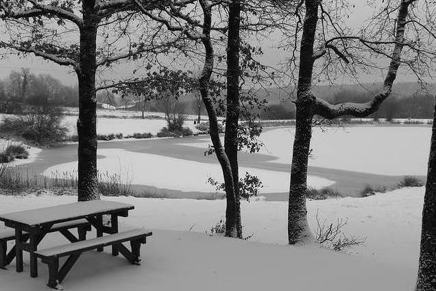 winter-pixabaynew_xslljb HEALTHIEST WINTER FOODS