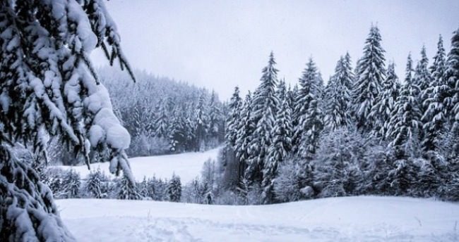 FOODS TO AVOID THIS WINTER FOODS TO AVOID THIS WINTER