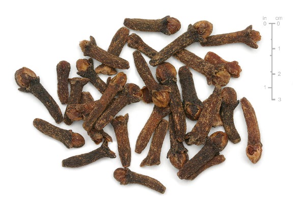 HEALTH BENEFITS OF CLOVES HEALTH BENEFITS OF CLOVES