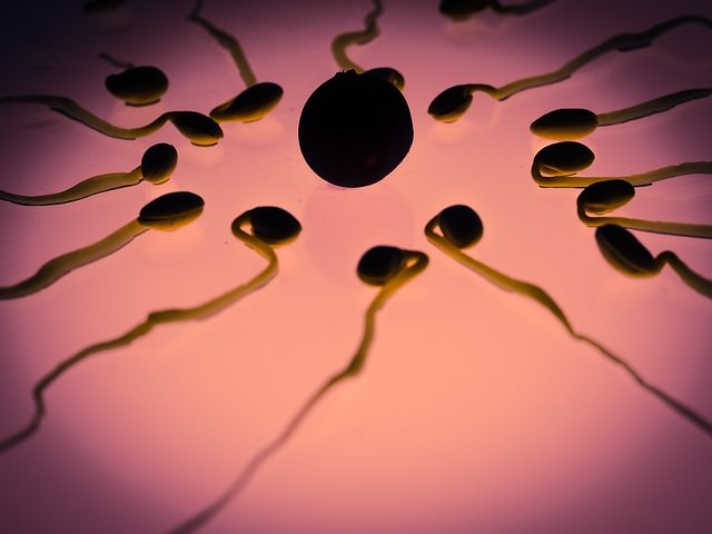 Sperm donation centre in bangalore Sperm donation centre in bangalore