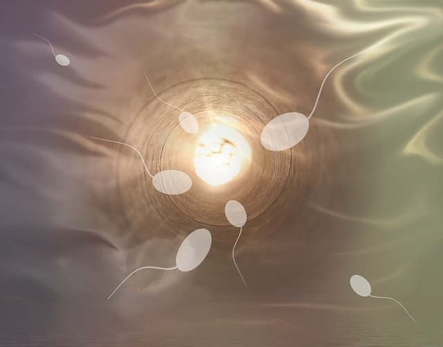 sperm bank in Pune sperm bank in Pune