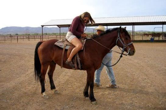 Horse riding classes in Dubai Horse riding classes in Dubai