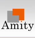 Amity Projects India Pvt Ltd