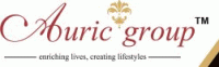 Auric Infraprojects Ltd. Auric Infraprojects Ltd.
