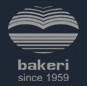 Bakeri Engineering and Infrastructure Ltd