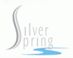 Bengal Silver Spring Projects Ltd