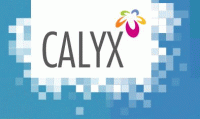Calyx Constructions Pvt. Ltd. Calyx Constructions Pvt. Ltd.