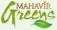Mahavir Greens
