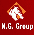 N G Group