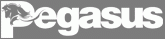 Pegasus Properties Pvt. Ltd. Pegasus Properties Pvt. Ltd.