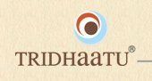 Tridhaatu Realty & Infra Pvt. Ltd. Tridhaatu Realty & Infra Pvt. Ltd.