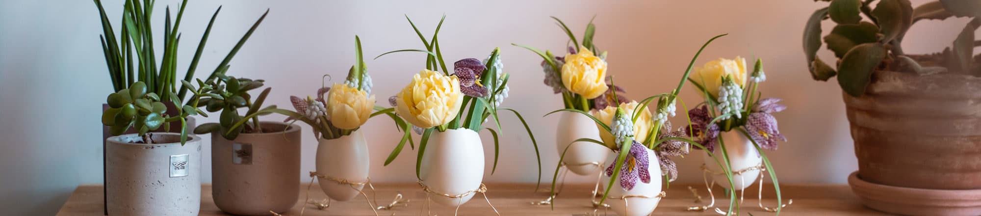 Adorable egg vases  