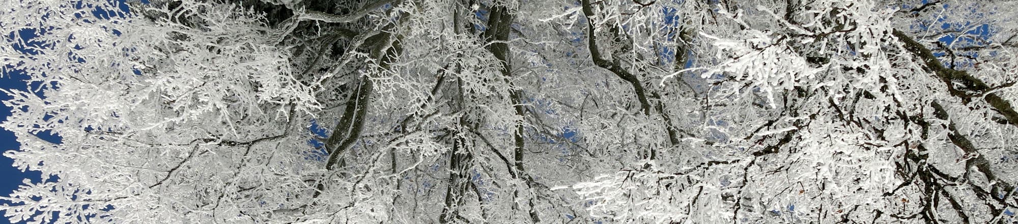 Novembre / dicembre