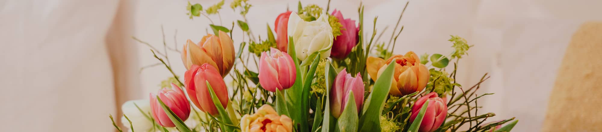 Tulipes – colorées et printanières