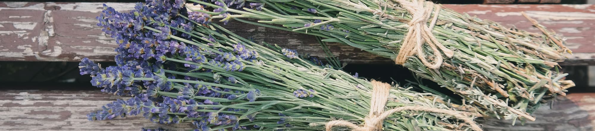 Symbolik und Trocknen von Lavendel